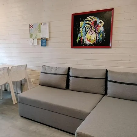 Homes For 5 People, מידזיזדרויה